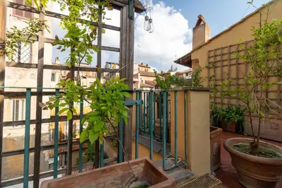 a balcony with potted plants and a fence at Terrazza Minerva in Rome