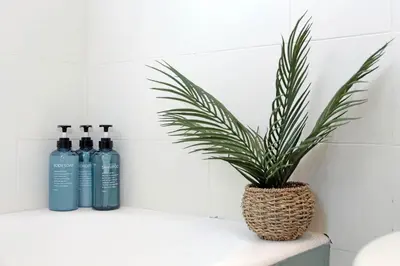 a plant sitting on a counter next to three bottles at MAYA - Boutique Apartment in Rome
