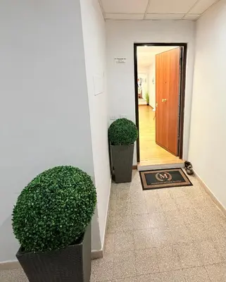 an entrance to a building with two potted plants at MBS Marconi Bridge Suites Guest House in Rome