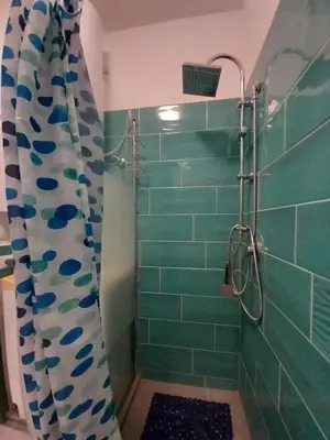 a bathroom with a shower with green tiles at Studio Salvia & Rosmarino in Rome