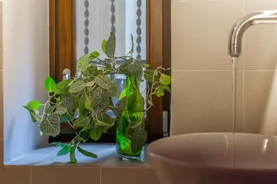 a vase with a plant on a counter next to a sink at iFlat Modern & Comfortable apt in Trastevere in Rome