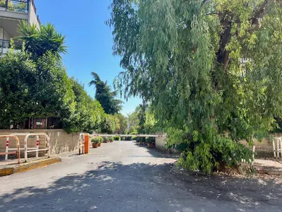 a tree hanging over a road with a bridge at StudioFlat Battistini in Rome