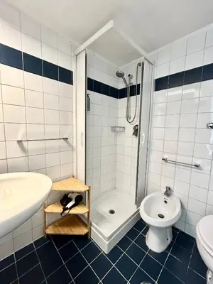 a bathroom with a shower and a sink and a toilet at Pina Charme in Rome
