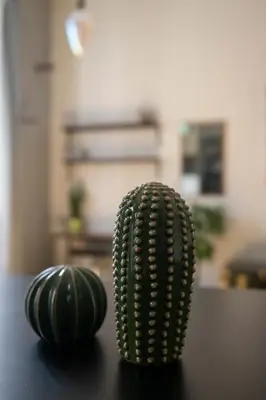 a green cactus sitting on top of a table at Artist Vatican House in Rome