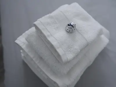 a ladybug sitting on top of a white towel at F House Trastevere in Rome