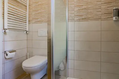 a bathroom with a toilet and a shower at Vatican Vista Apartment in Rome