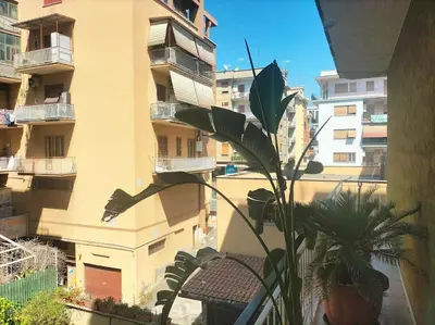 a plant sitting on the side of a building at Cento House Casa Vacanze Roma in Rome