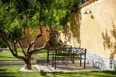 two benches sitting next to a tree next to a building at Residenza Leone XIII in Rome