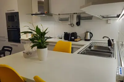 a kitchen with a counter with a potted plant on it at Cozy Modern Apartment with Terrace - Pantheon in Rome