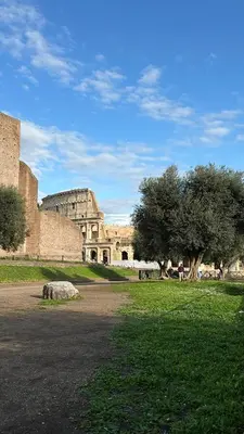 a view of a building in a field with trees at Suite Colonna in Balestrari in Rome
