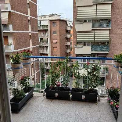 a balcony with pots of plants on a building at Grand Nomentana Roma in Rome