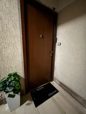 a brown door with a potted plant next to it at Atrium Regal Room in Rome