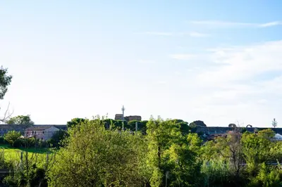 a view of a field with trees and buildings at Rooftop Apartment Quadraro in Rome