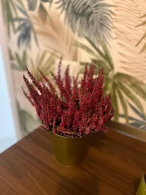 a red plant in a green pot on a table at Sweet RHome in Rome