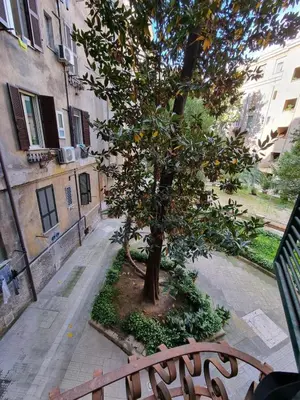 a tree sitting next to a bench next to a building at Maggie's House in Rome