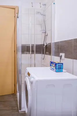 a washing machine in a bathroom with a shower at Domus Gianicolensis in Rome