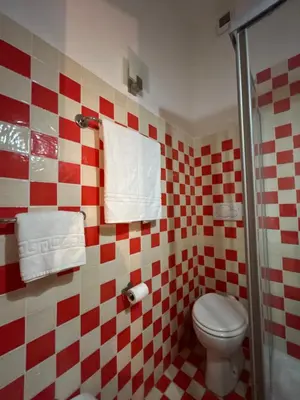 a bathroom with a toilet and red and white tiles at Hedi-Don sweet home-103 in Rome