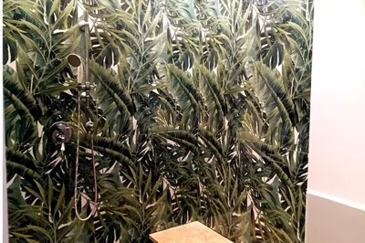 a wall with a green plant in a room at Sweet Rome Holiday Flaminio-The biggest shower in Rome