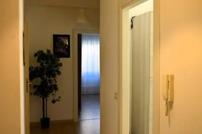 a hallway with a potted plant in a room at Fem House in Rome