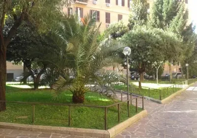a palm tree in a park next to a fence at La Casa Viola in Rome