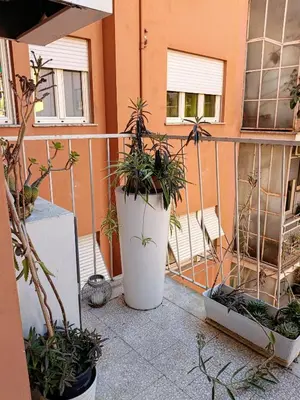 a large white vase filled with plants on a balcony at Un angolo di Oriente a due passi da San Pietro in Rome