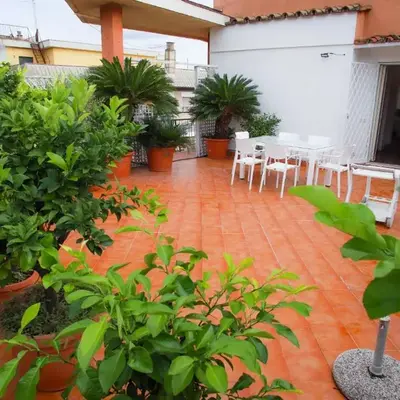 Oasi urbana - The Vatican Roof Garden
