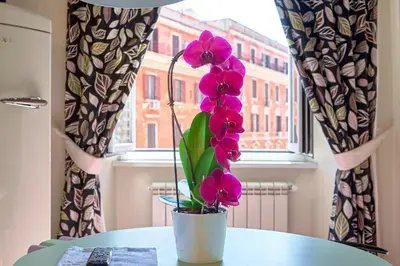 a potted plant sitting on a table in front of a window at A casa di Roberta in Rome