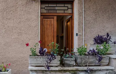 a front door with potted plants on the steps at Le Caraffe ROMA - Parioli in Rome