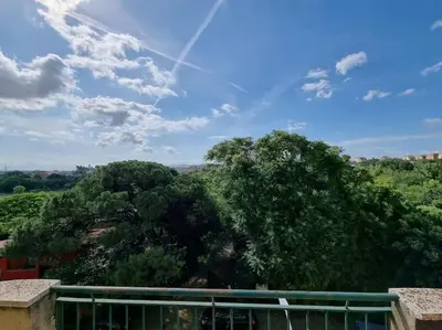 a view of a tree from a balcony at Incantevole bilocale a Città Giardino in Rome
