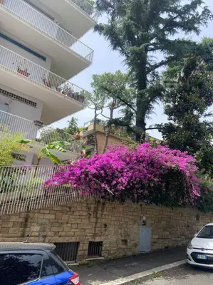 a brick wall with purple flowers on a fence at Vatican Green Penthouse in Rome