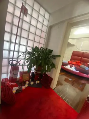 a living room with a potted plant on a red carpet at Ave Roma Suite in Rome