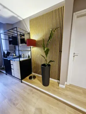 a potted plant in a room with a kitchen at Vatican Charme&Chic in Rome