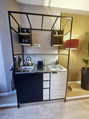 a small kitchen with a counter and a sink at Vatican Charme&Chic in Rome