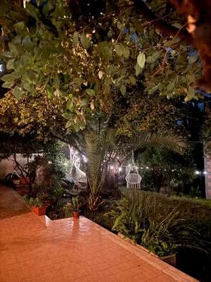 a garden with a tree and a bench and lights at Urban Oasis in Rome