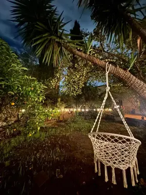 a rope swing hanging from a palm tree at night at Urban Oasis in Rome