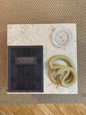 a picture of a snake on a table at Exclusive Apartment in the Heart of Rome in Rome