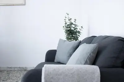 a living room with a couch with a plant at Tommys flat by DomusDimore in Rome