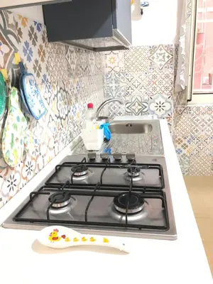 a stove top in a kitchen next to a sink at LoL Apartment in Rome