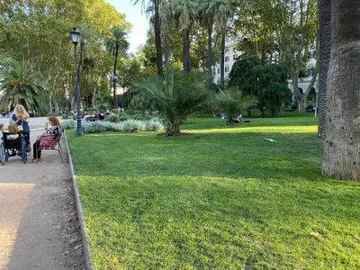 a group of people sitting in a park at Beautiful Colosseum Roma in Rome