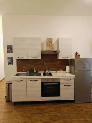 a kitchen with a sink and a refrigerator at Dolceborgo al Vaticano in Rome