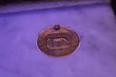 a brown coin sitting on top of a purple surface at Domus Corneliæ - Romantico Attico Roman & Jacuzzi - Metro A Cornelia in Rome