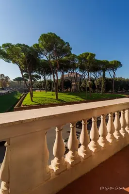 a white fence with trees in the background at WE LOVE ROMA Guest House in Rome