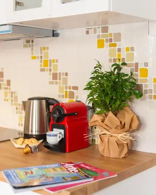 a kitchen counter with a toaster and a potted plant at Porta Pia apartment ZENO 53 in Rome