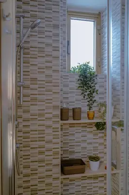 a bathroom with a shower with plants and a window at Vatican 23 Apartment in Rome