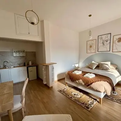 Living Rome Flaminio - Appartamento parziale - Alloggio ad uso turistico