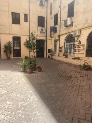 a courtyard with potted plants in front of a building at Il diamante del Colosseo in Rome