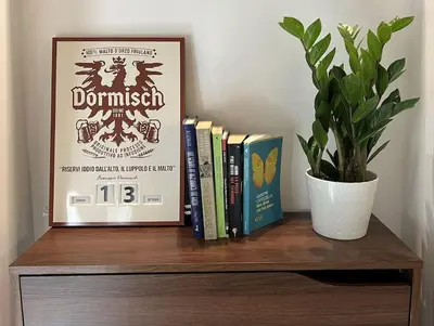 a shelf with books and a potted plant on it at Peter House in Rome