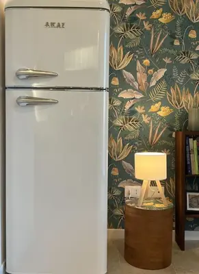 a refrigerator in a kitchen with a lamp next to it at Peter House in Rome