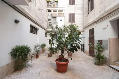 a potted tree in a courtyard in a building at Appartamento in via Plauto in Rome