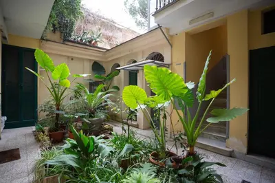 a bunch of plants in the courtyard of a building at Da Cesare e Chloe al Colosseo in Rome